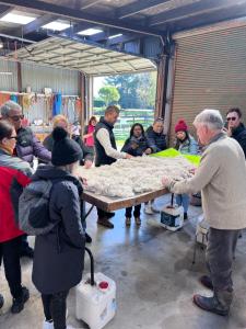 silverstream alpaca farmstay and tour