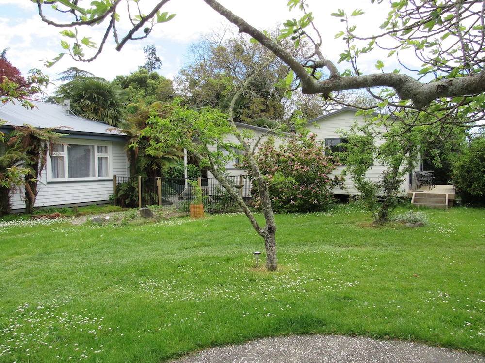 the white elephant accommodation hostel