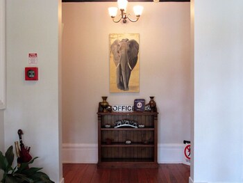 the white elephant accommodation hostel