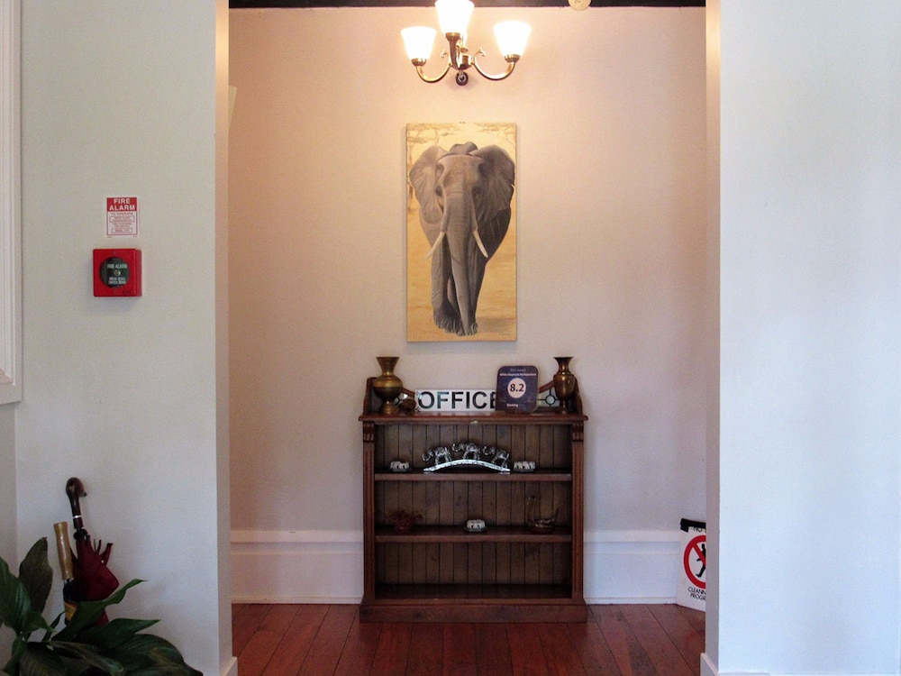 the white elephant accommodation hostel