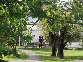 the white elephant accommodation hostel