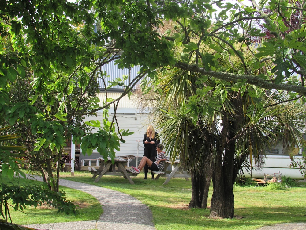 the white elephant accommodation hostel