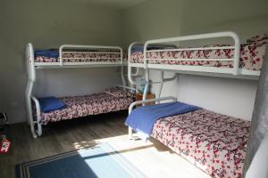 the white elephant accommodation hostel