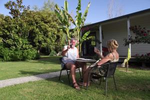 the white elephant accommodation hostel