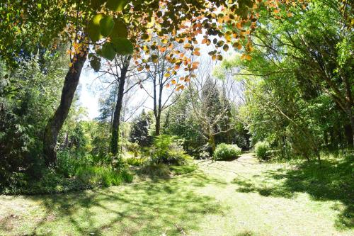 Te Popo Gardens And Accommodation,In Te Popo,4 star