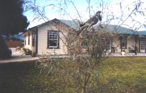 karamea village hotel