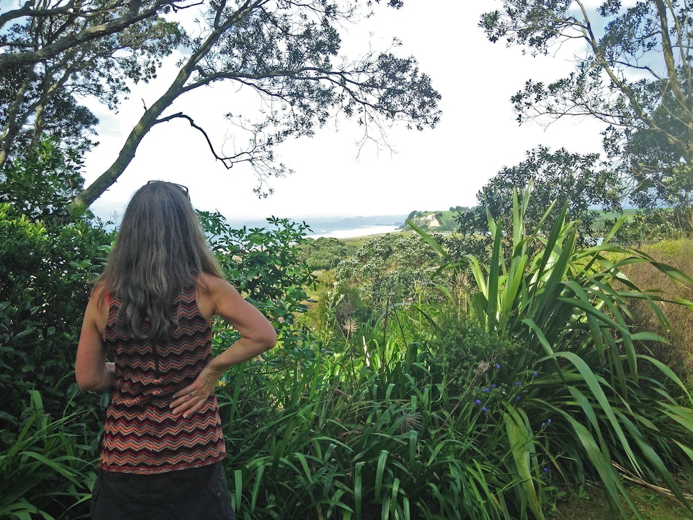 ohiwa seascape studios