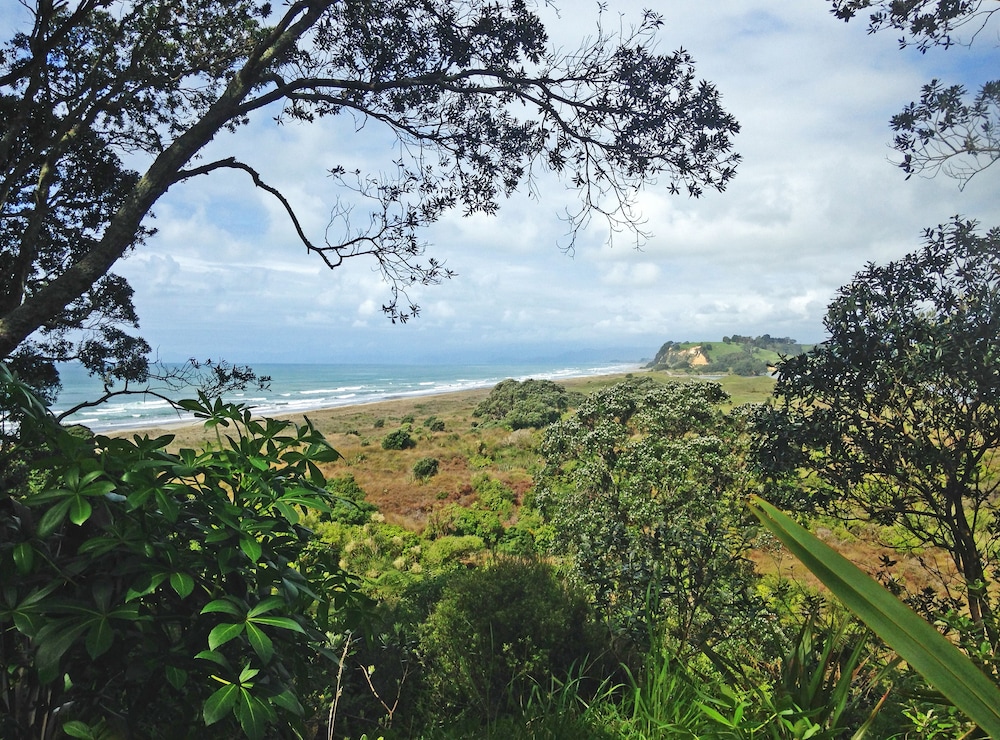 ohiwa seascape studios