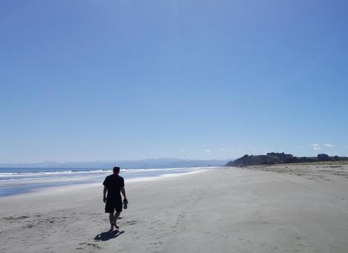 ohiwa seascape studios