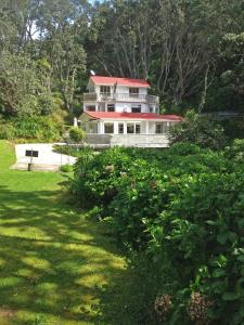 ohiwa seascape studios