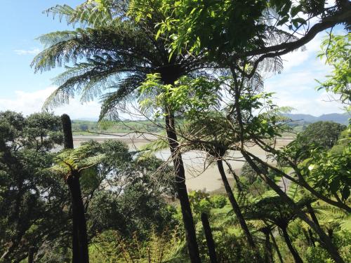 ohiwa seascape studios