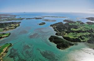 ohiwa seascape studios