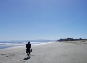 ohiwa seascape studios