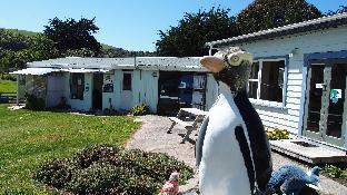 surat bay lodge and backpackers hostel