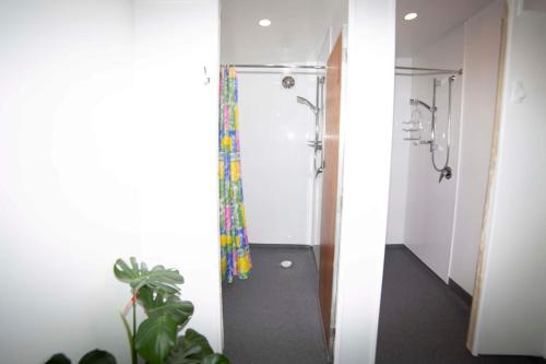 surat bay lodge and backpackers hostel