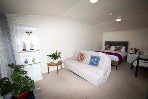 surat bay lodge and backpackers hostel