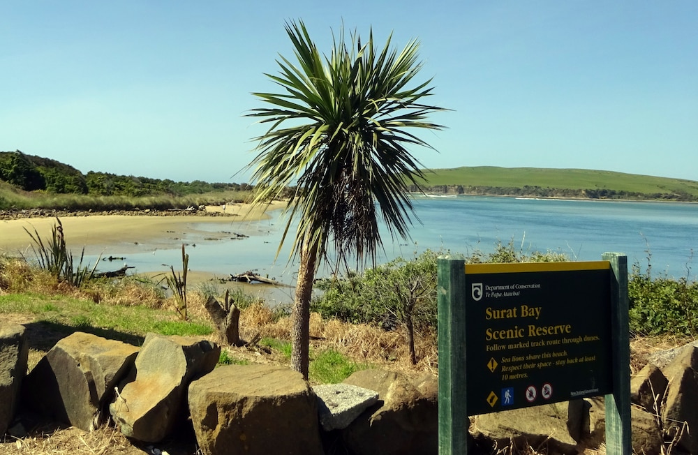 surat bay lodge and backpackers hostel