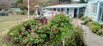 surat bay lodge and backpackers hostel