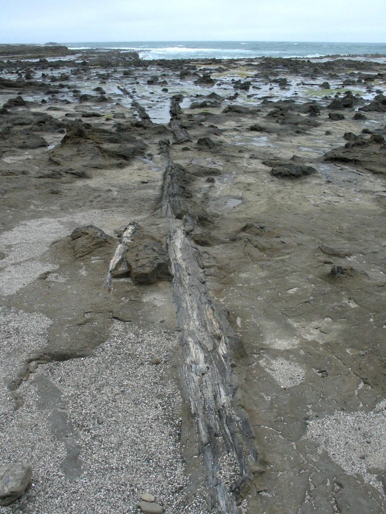 surat bay lodge and backpackers hostel