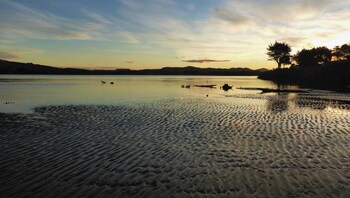 surat bay lodge and backpackers hostel