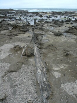 surat bay lodge and backpackers hostel