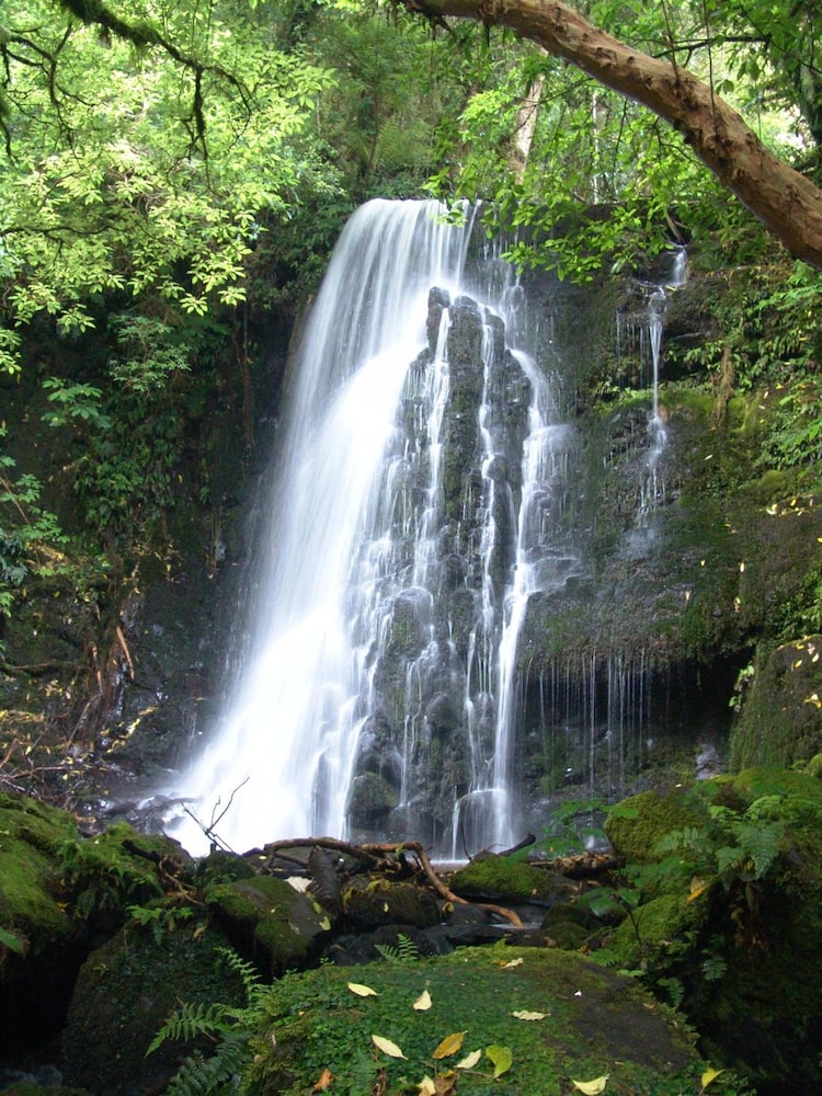 surat bay lodge and backpackers hostel