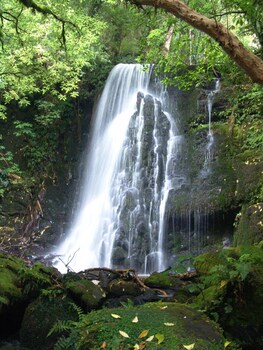 surat bay lodge and backpackers hostel