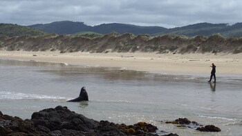 surat bay lodge and backpackers hostel