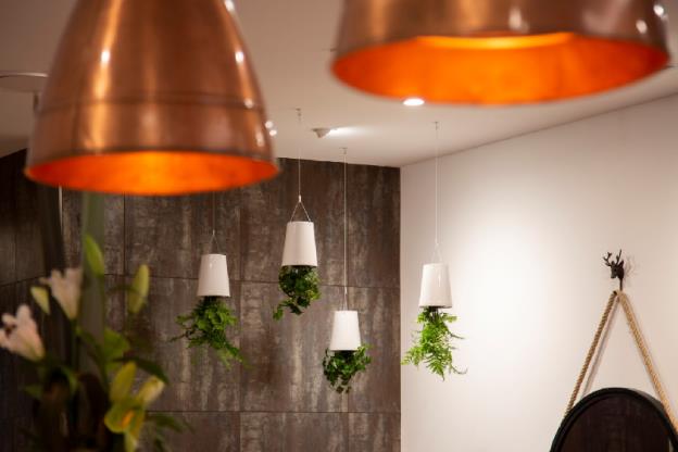 wyndham garden queenstown