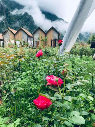 vangvieng angsavanh resort