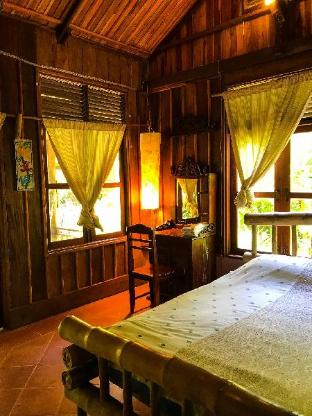 vanvisa at the falls