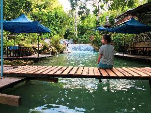 vanvisa at the falls