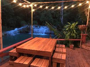 vanvisa at the falls