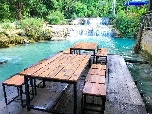 vanvisa at the falls