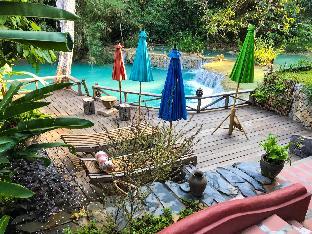 vanvisa at the falls