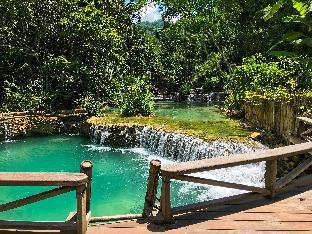 vanvisa at the falls