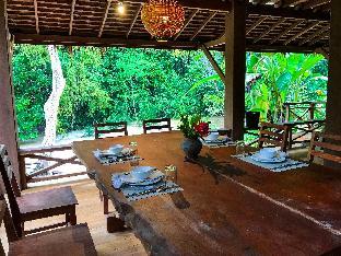 vanvisa at the falls