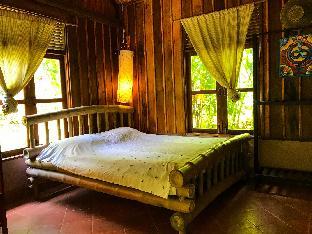 vanvisa at the falls