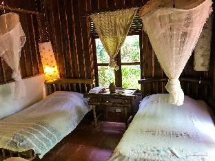 vanvisa at the falls