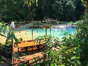 vanvisa at the falls