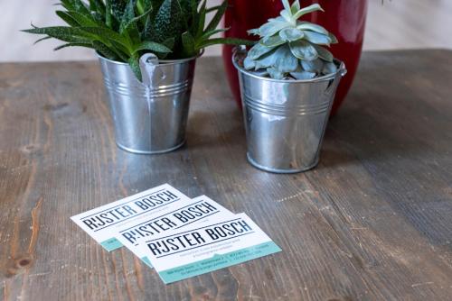 bed and breakfast rijsterbosch