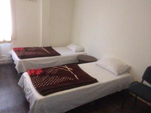 guest house amsterdam hostel