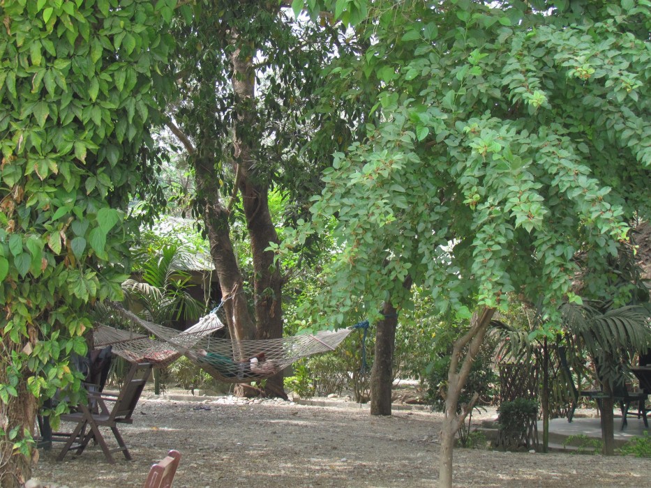 chitwan gaida lodge