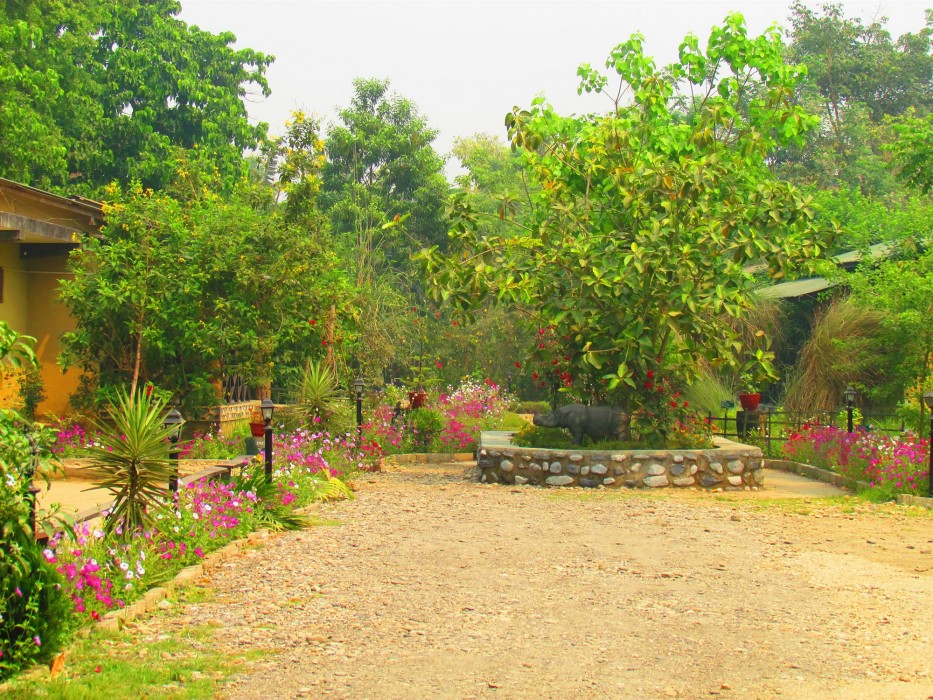 chitwan gaida lodge