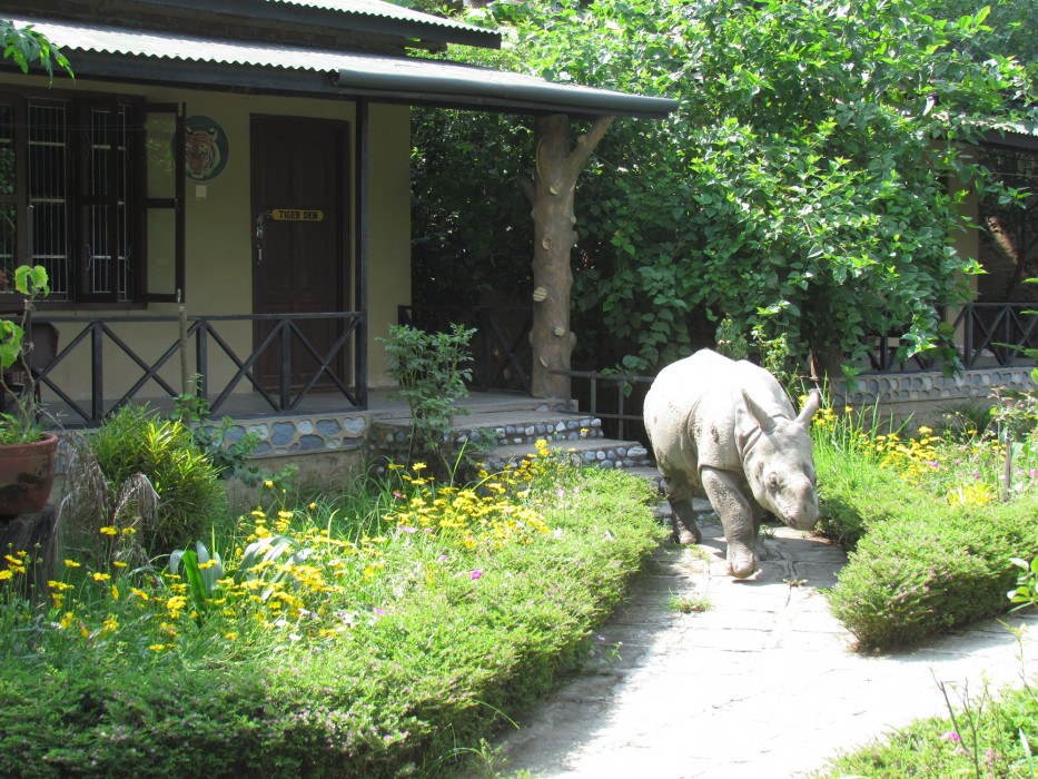 chitwan gaida lodge