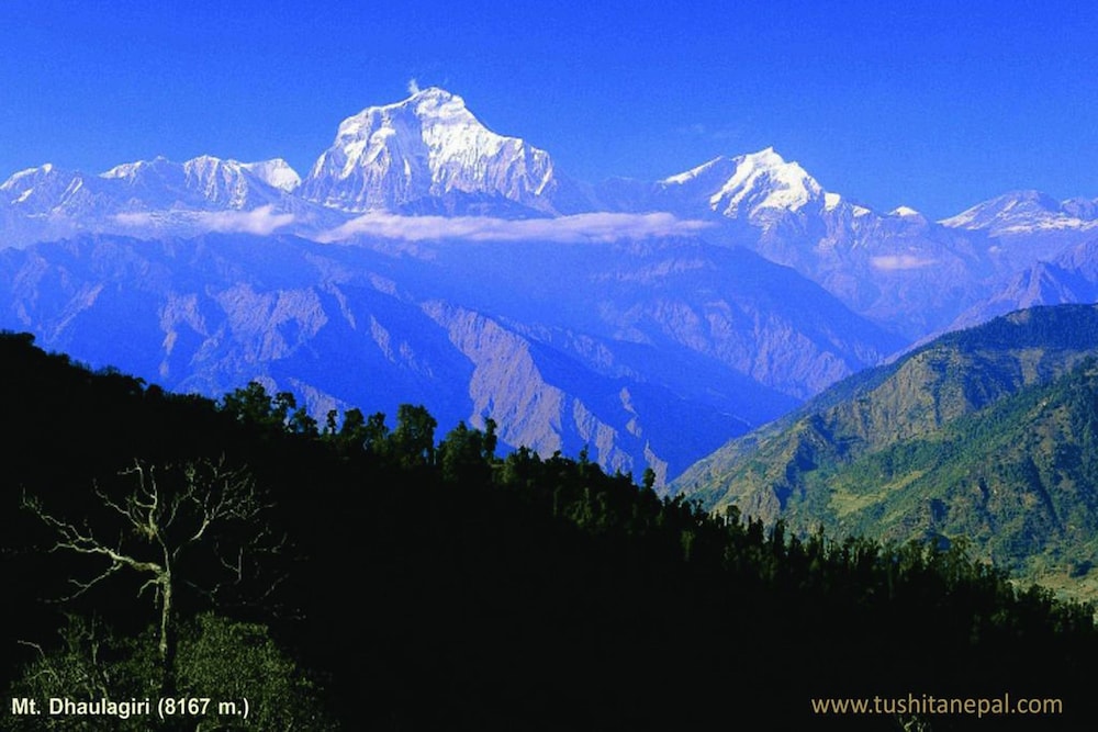 tushita nepal yoga retreat center