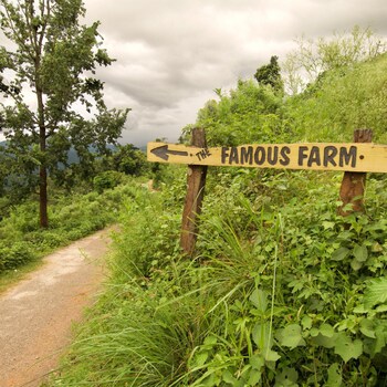 the famous farm