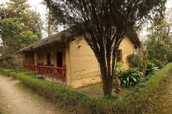 forest hideaway hotel and cottage