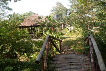 forest hideaway hotel and cottage