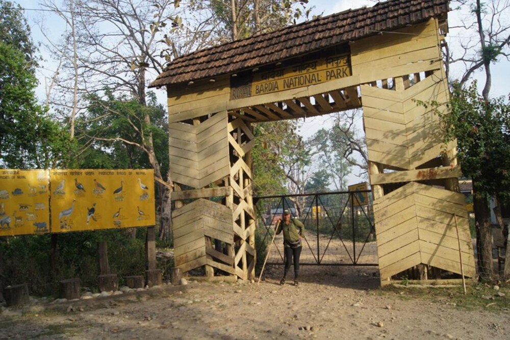 forest hideaway hotel and cottage